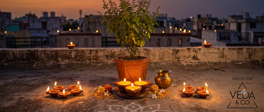 Lit cow ghee diyas placed near a tulsi plant for Karthika Masam evening rituals