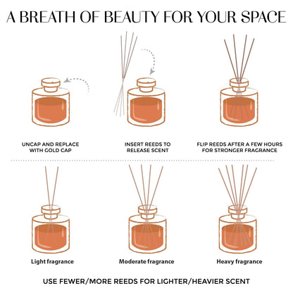 Welburn Veda&Co® Reed Diffuser (100ml),Clear Round Jar,Gold Coated Lid with 240mm Synthetic Reeds(6 No's),Ready to Use Oil Blend, Alcohol Free,Last for 45 Days -100ml Scented Reed Diffuser.