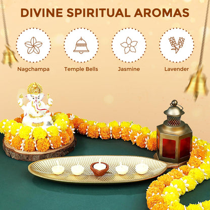 Smoke free nagchampa ghee batti diya